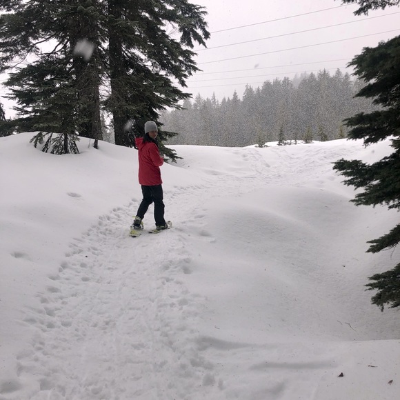 Meet your Posher, Julie - Picture 1 of 1